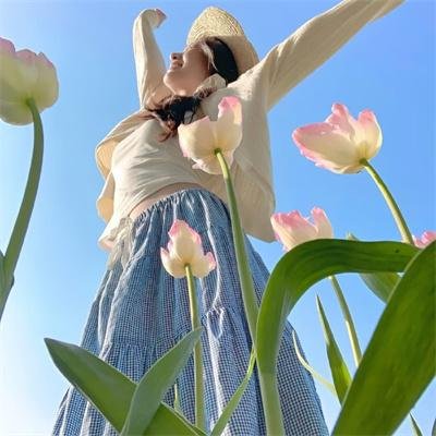胭脂虎新传